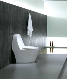 羅芬衛(wèi)浴R8385坐便器價(jià)格、圖片及參數(shù)詳解